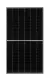 2929_66 TIGER MONO-FACIAL BLACK FRAME